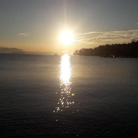 Serenity Feriolo